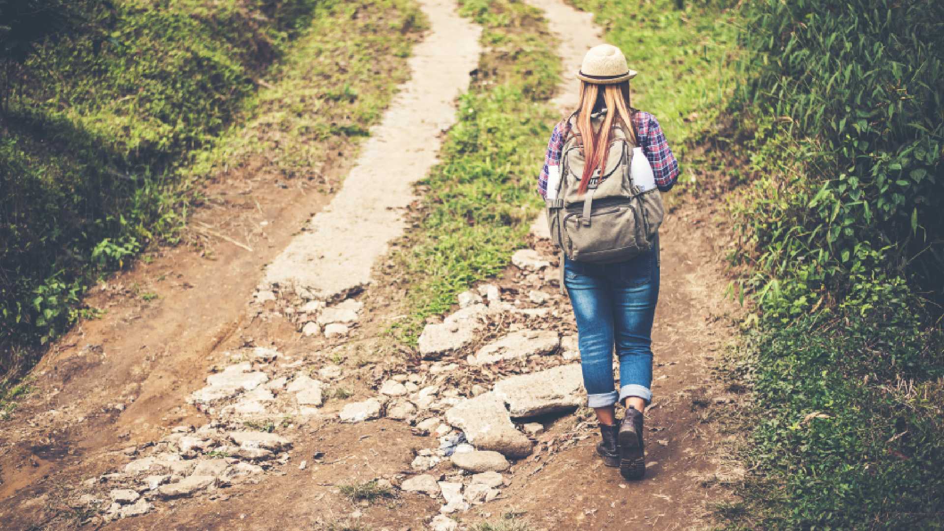 Choosing the Right Path: What to Look for in a Rehabilitation Center