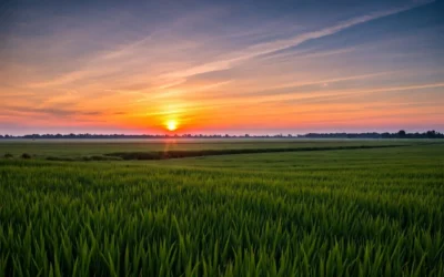 How a Caring Recovery Center Can Change Your Life