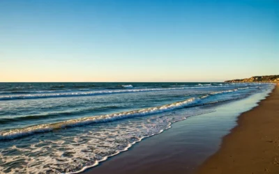 Understanding Alcohol Treatment Options in Port St Lucie Florida: Which is Right for You?